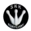 SKK Rokycany Ž