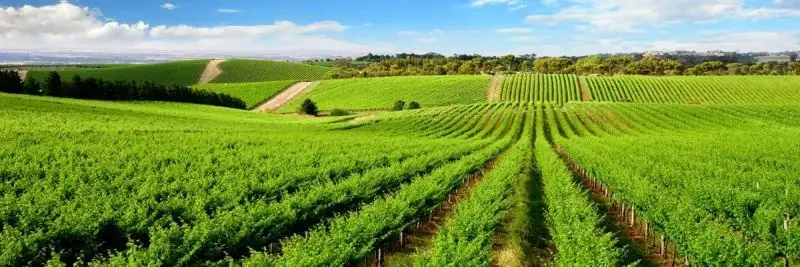 Vítězná premiéra Céčka ve 3.lize !!!