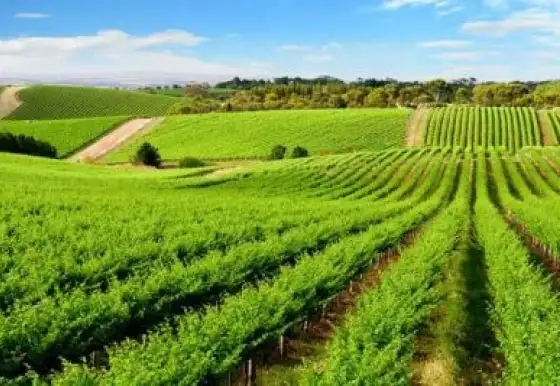 Vítězná premiéra Céčka ve 3.lize !!!